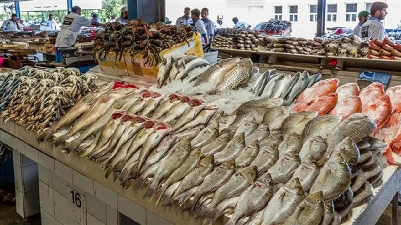 تباين في سعر السمك بسوق العبور: انخفاض الكابوريا مقابل ارتفاع البلطي والمكرونة